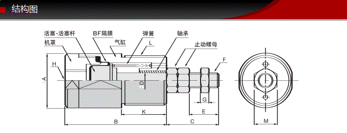 FCS-20-22-S0/S1-Pballbet贝博标准气缸(图6)